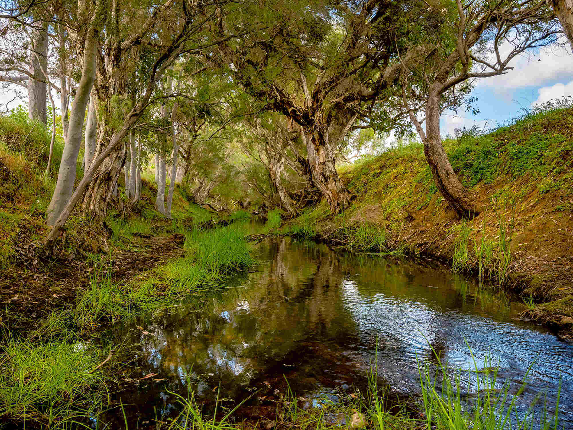 [Land for Sale] Riverwood Estate, North Dandalup OpenLot